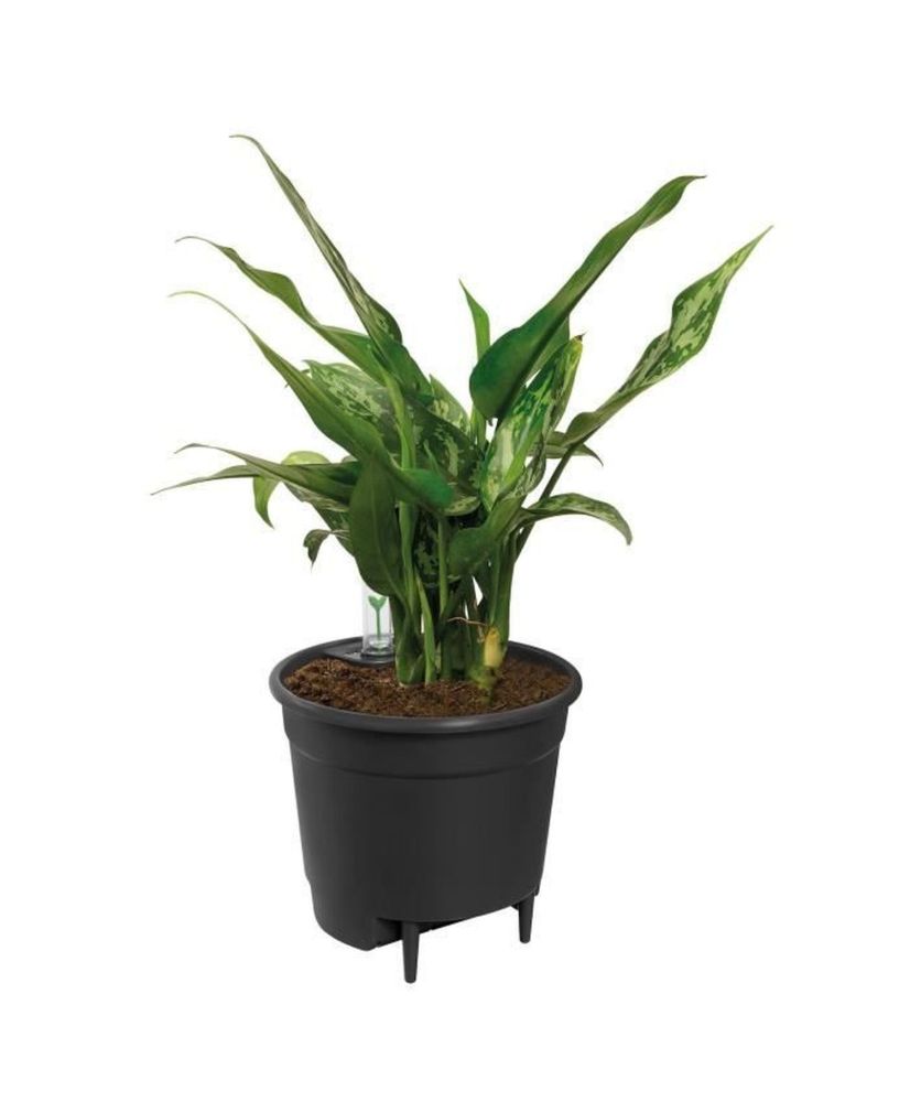 Selbstbewässernder Einsatz Blumentopf 33 - Schwarz Ø 33 x 31 cm Selbstbewässernder Einsatz Blumentopf 33 - Schwarz Ø 33 x 31 cm