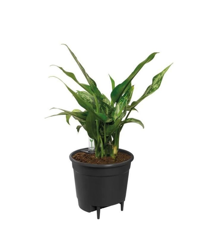 Blumentopf 44 - Schwarz Ø 43 x 39 cm Blumentopf 44 - Schwarz Ø 43 x 39 cm
