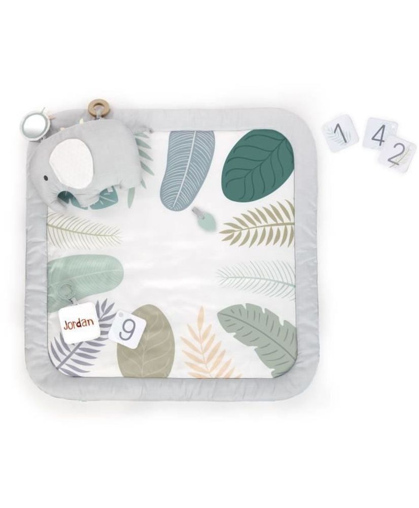 Tapis d'éveil évolutif Sprout Spot, 12 cartes évolutives et 5 jouets détachables Tapis d'éveil évolutif Sprout Spot, 12 cartes évolutives et 5 jouets détachables