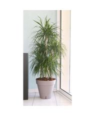 Pot de fleurs Loft avec réserve d'eau - Rond Ø 50 x 46 cm -Taupe