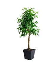 Quadratischer Blumentopf - 39 x 39 x 39 cm - 38 L - Anthrazitgrau