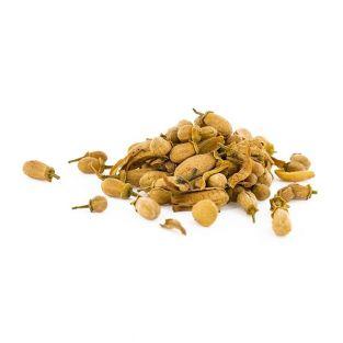 Fleurs comestibles bio - Fleurs d'Oranger 30 g