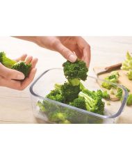 BOSCH - Staubsaugerzubehör 2 Boxen à 1 Liter