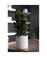 Pot de fleurs à réserve d'eau Hidrojardinera - Ø 22 cm - Gris anthracite