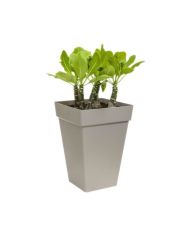 Loft Urban Bac à fleurs Carré Haut 30 - Noir Ø 29 x 41 cm