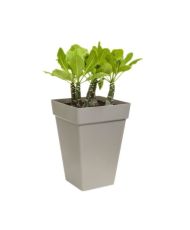 Loft Urban Square Blumenkasten High 37 - Weiß Ø 37 x 51 cm