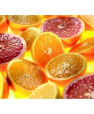 Zitruspresse – KENWOOD – Fassungsvermögen 600 ml – Edelstahlsieb – Durchsichtige, abgestufte Schüssel