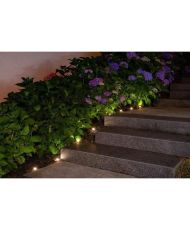 Solargirlande zum Pflanzen von 10 weißen LEDs – GALIX – 5 m – 0,5 W – 100 Lumen – 8 Stunden Beleuchtung