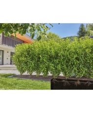 Schlauchverlängerung mit integrierten Tropfern – GARDENA – 25 m – vergraben und oberirdisch