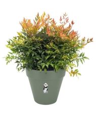 Planteur Rectangle VIBIA - Plastique - Réservoir - Ø 50 - Jaune Miel