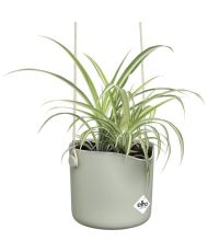B.FOR Runder Blumentopf - Kunststoff - Ø 18 - Grün
