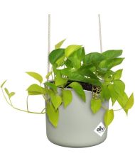 B.FOR Runder Blumentopf - Kunststoff - Ø 18 - Grün