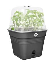 Pot De Fleurs Carré - Plastique - Réservoir - Ø 20 - Noir
