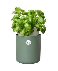 Pot De Fleurs Rond BOUNCY BASIL - Plastique - Ø 16 - Leaf Green