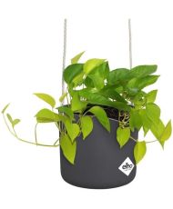 B.FOR Runder Blumentopf - Kunststoff - Ø 18 - Anthrazit