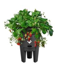 Pot à Fraises 33 - Noir Ø 33 x 42 cm - 100% recyclé