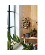  B.für weichen runden Blumentopf 25 – Schwarz Ø 25 x 23 cm
