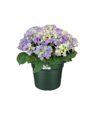 Bac à fleurs Cilinder 55 - Vert Ø 54 x 41 cm
