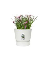Runder Blumentopf 40 – Außen-Ø 39 x 36,8 cm – Weiß