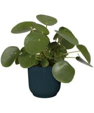 Pot De Fleurs Rond VIBES - Plastique - Ø 22 - Bleu Foncé