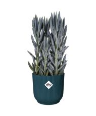 Pot De Fleurs Rond VIBES - Plastique - Ø 22 - Bleu Foncé