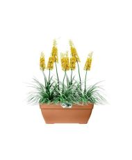 Vibia Campana Bac à fleurs Terrasse 80 - Marron - 77 x 35 x 33 cm