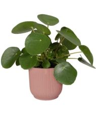 Pot De Fleurs Rond VIBES - Plastique - Ø 30 - Bleu Foncé