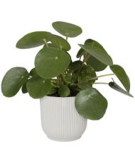 Vibes Fold Pot de fleurs rond 30 - Blanc Ø 30 x 27 cm 