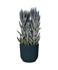 Runder Blumentopf - Kunststoff - Ø 45 - Schwarz