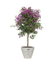 VIBIA Runder Blumentopf – Kunststoffbehälter – Ø 40 – Weiß
