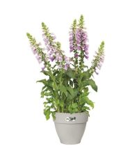 VIBIA Runder Blumentopf – Kunststoffbehälter – Ø 40 – Weiß