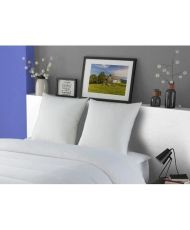 2 Oreillers MERIBEL Plumettes 60 x 60 cm