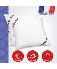 2 MERIBEL Plumettes Pillows 60 x 60 cm