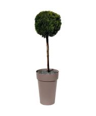 Pot/Vase haut Ø 46 x 65 cm - 67 L - Taupe