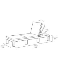 Keter Chaise longue avec coussin Daytona Graphite 441306