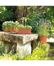 Pot de fleurs rond Day R cotto - Coloris terre rouge - 40 cm