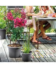 Round Day R anthracite flower pot - Anthracite gray color - 50 cm