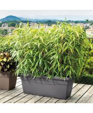 Day R Anthracite rectangular flower box - 100 cm