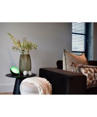  Luce d'atmosfera intelligente 5W