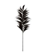 Collection HSM - Plume décorative - 65x2x220 - Noir/Naturel - Bambou