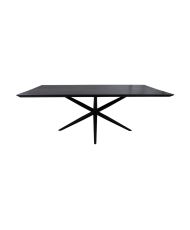 Collection HSM - Table à manger rectangulaire Zürich-200x100x76-Naturel/Noir-Acacia/Métal