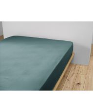 Drap housse 200 x 200 cm GAÏA Canard