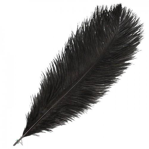 Ostrich feather - Black Ostrich feather - Black