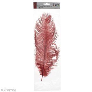  Plume d'autruche - Rouge 