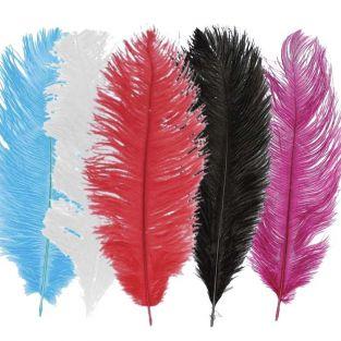 Kit de plumes d'autruches
