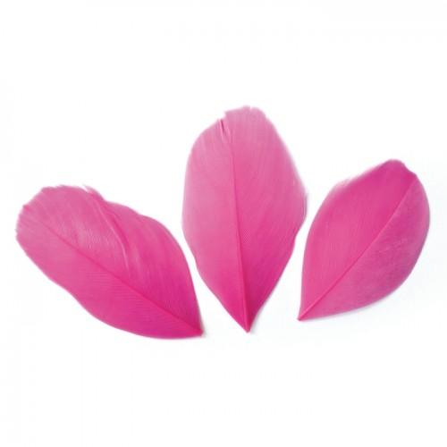50 plumes coupées - Fuchsia 6 cm 50 plumes coupées - Fuchsia 6 cm