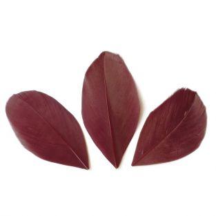 50 plumas cortadas de 60 mm - Rojo Burdeos
