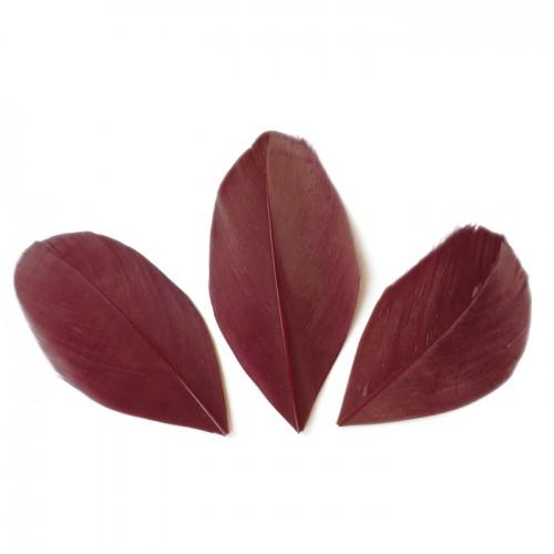 50 cut feathers - Red Bordeaux 60 mm 50 cut feathers - Red Bordeaux 60 mm