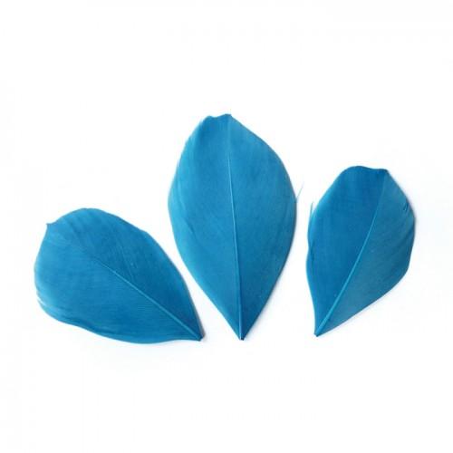 50 plumes coupées - Turquoise 6 cm 50 plumes coupées - Turquoise 6 cm