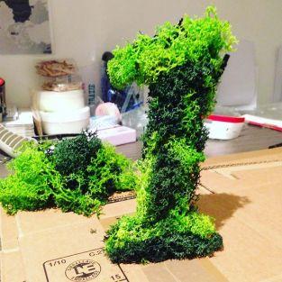  Iceland moss, dark green 